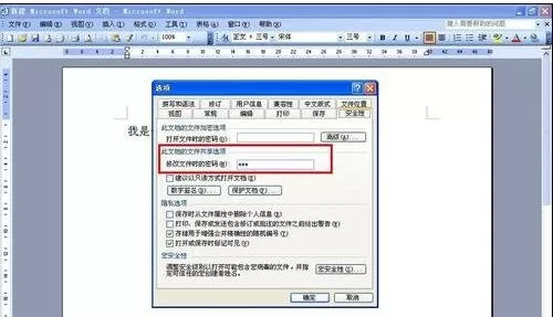 怎么设置Word2003为只读?Word2003设置为只读的具体操作