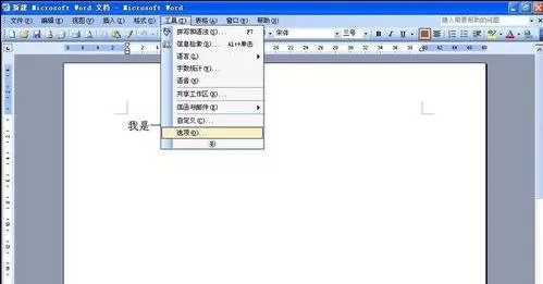 怎么设置Word2003为只读?Word2003设置为只读的具体操作