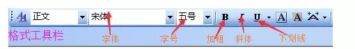 如何在word2003中设置字符格式?word2003设置字符格式的步骤