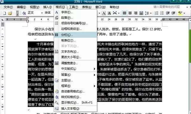 怎么在word2003中进行分栏?word2003进行分栏的具体步骤