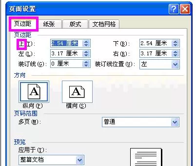 怎么在Word2003中进行设置页面?Word2003进行设置页面的步骤