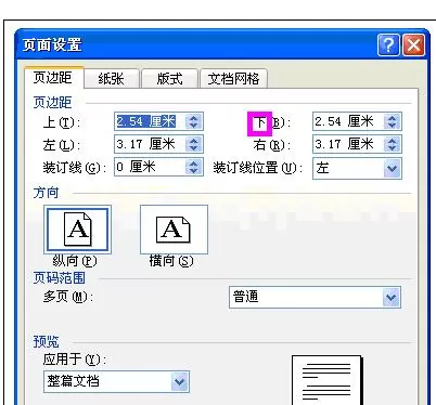 怎么在Word2003中进行设置页面?Word2003进行设置页面的步骤