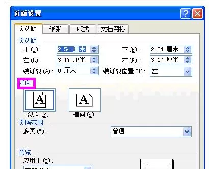 怎么在Word2003中进行设置页面?Word2003进行设置页面的步骤