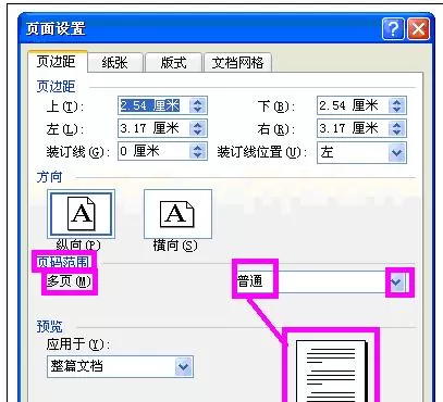 怎么在Word2003中进行设置页面?Word2003进行设置页面的步骤