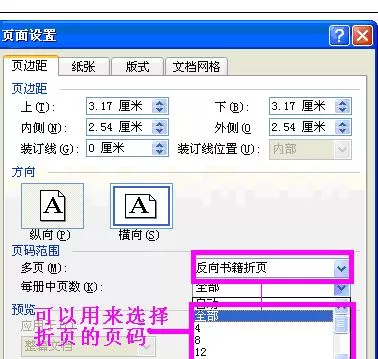 怎么在Word2003中进行设置页面?Word2003进行设置页面的步骤