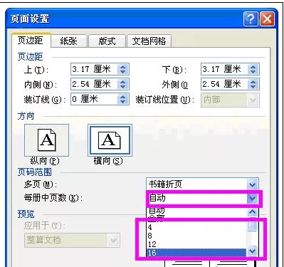 怎么在Word2003中进行设置页面?Word2003进行设置页面的步骤