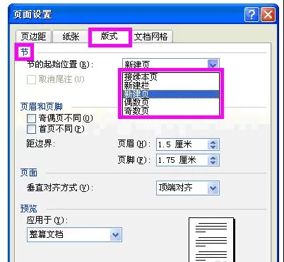 怎么在Word2003中进行设置页面?Word2003进行设置页面的步骤
