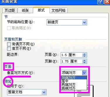 怎么在Word2003中进行设置页面?Word2003进行设置页面的步骤