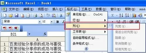 excel2007固定列宽的具体操作步骤