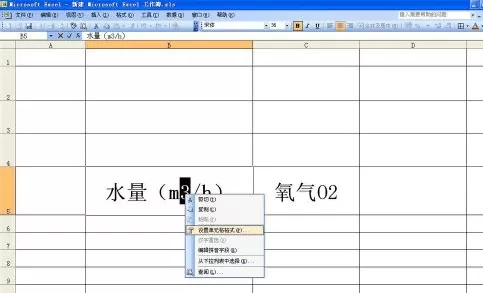 怎么在excel2003中输入上下标 ?excel2003输入上下标的教程