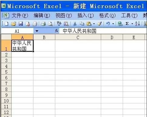在excel2003中自动换行的具体方法 excel2003怎么自动换行