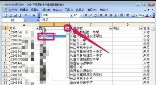 在excel2003中使用数据筛选功能的具体方法