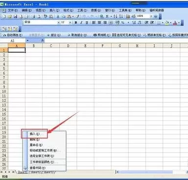 怎么在excel2003中插入表单?在excel2003中插入表单的教程