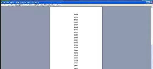 在excel2003中设置打印始终显示表头的具体操作