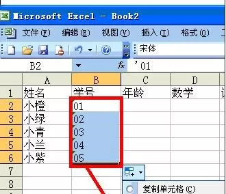 怎么使用excel2003数据填充功能?excel2003数据填充功能的用法