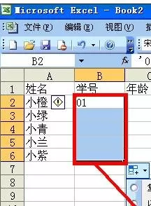 怎么使用excel2003数据填充功能?excel2003数据填充功能的用法