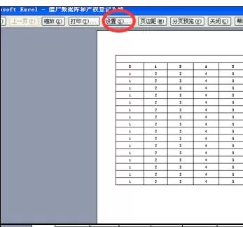 怎么在Excel2003中设置文件打印成一张?