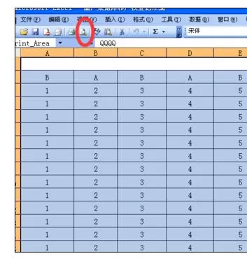 怎么在Excel2003中设置文件打印成一张?