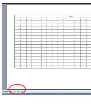 怎么在Excel2003中设置文件打印成一张?