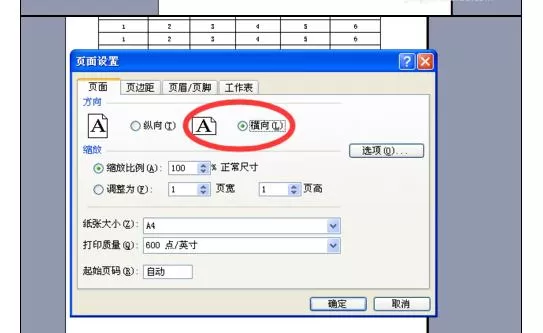 怎么在Excel2003中设置文件打印成一张?