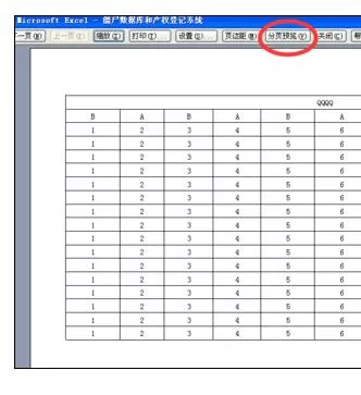 怎么在Excel2003中设置文件打印成一张?