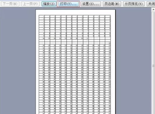 如何调整excel2003打印格式?excel2003打印格式的调整方法