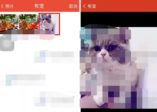 如何在微爱中更换背景图片?在微爱中更换背景图片的方法