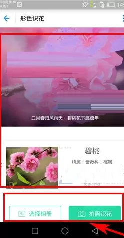 支付宝扫花识花如何玩?支付宝扫花识花玩法介绍