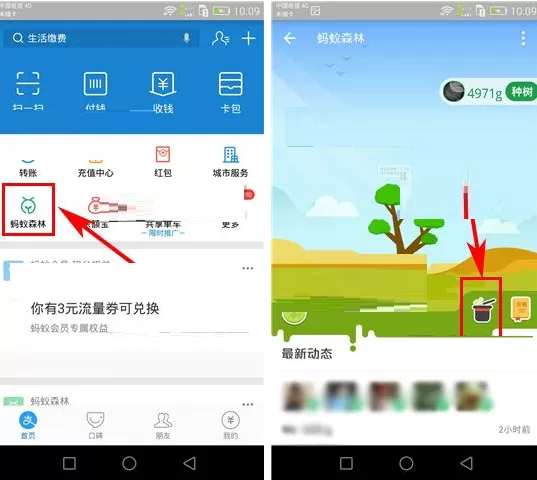支付宝蚂蚁森林能量保护罩如何玩？