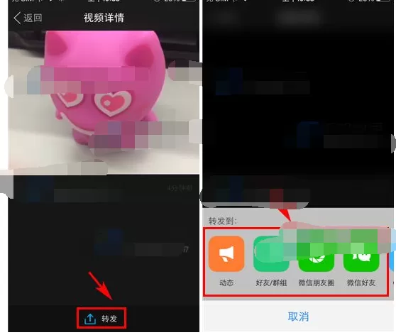 如何在陌陌中转发小视频?在陌陌中转发小视频的具体方法