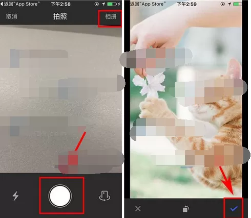 如何在陌陌中开启阅后即焚图片?陌陌开启阅后即焚图片的步骤