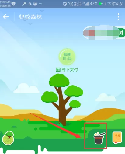 支付宝中蚂蚁森林保护罩在什么地方?