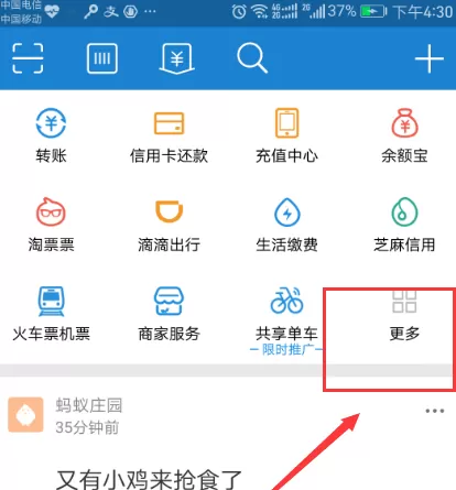 支付宝中蚂蚁森林保护罩在什么地方？
