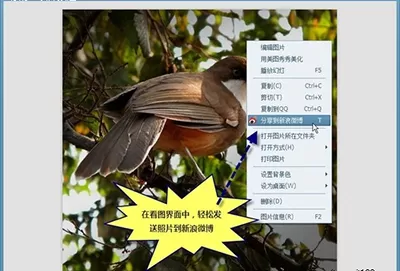 美图看看如何一键分享到微博?分享到微博的方法