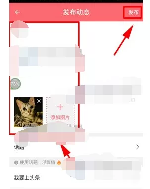 如何在触漫中发布动态?在触漫中发布动态的方法