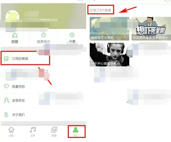 如何在echo回声中查看订阅的频道？在echo回声中查看订阅频道的方法