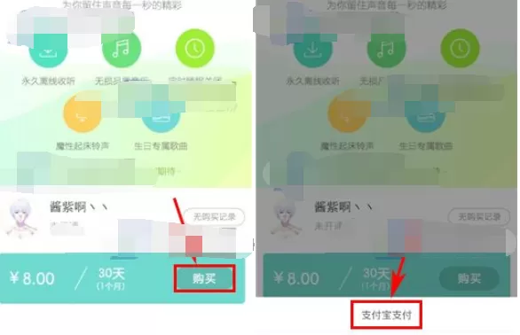 如何在echo回声中购买会员?在echo回声中购买会员的方法