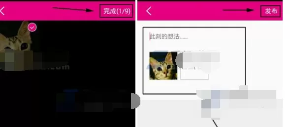 如何在魔幻手指交流圈中发布动态?魔幻手指交流圈发布动态的方法