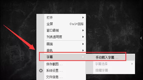 维棠播放器如何添加字幕?维棠播放器添加字幕教程