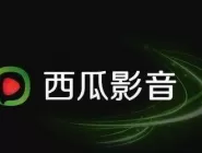 西瓜影音播放器无法安装怎么办？无法安装的解决方法