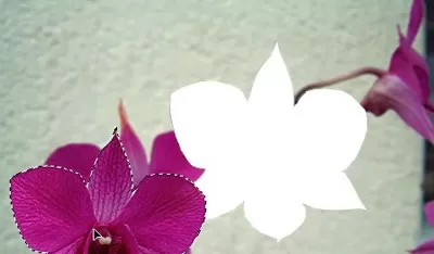 如何使用photoshop的移动工具?photoshop移动工具的使用方法