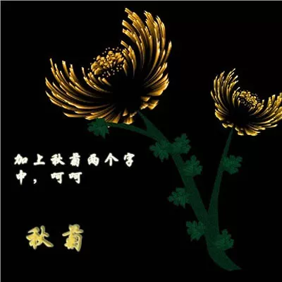 如何使用PS滤镜制作抽象菊花设计图?