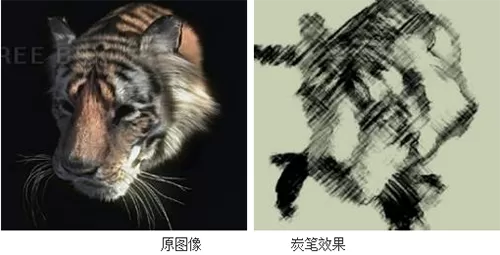 如何使用PS素描滤镜?PS素描滤镜的使用方法
