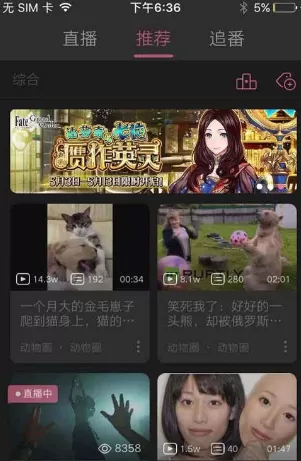 哔哩哔哩如何举报弹幕?哔哩哔哩举报弹幕教程