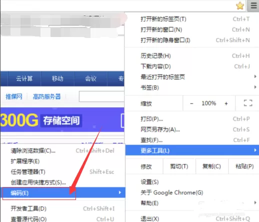 谷歌浏览器如何修改编码格式？修改编码格式教程