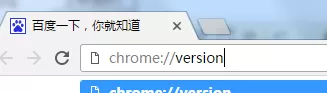 谷歌浏览器怎样缓存视频？缓存视频文件位置介绍