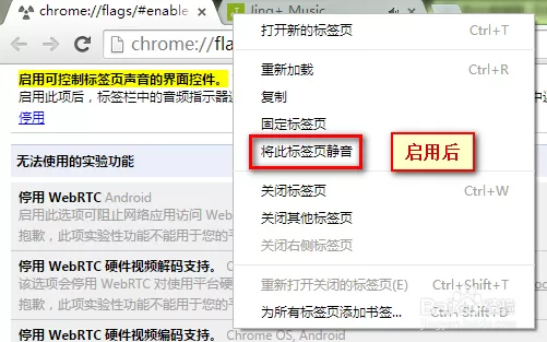 谷歌浏览器如何设置网页静音?谷歌浏览器设置网页静音的方法