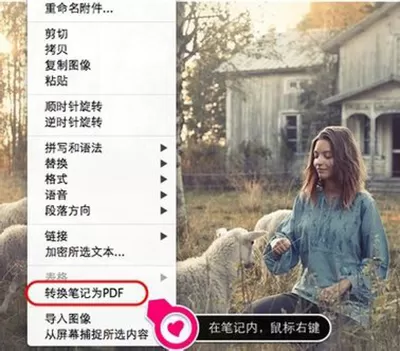 印象笔记导出pdf的具体操作   印象笔记导出pdf的图文教程