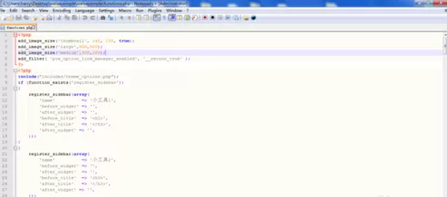 怎么配置notepad++的界面？配置notepad++的界面的教程