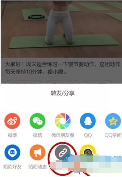 秒拍视频如何下载到手机上?下载到手机上教程